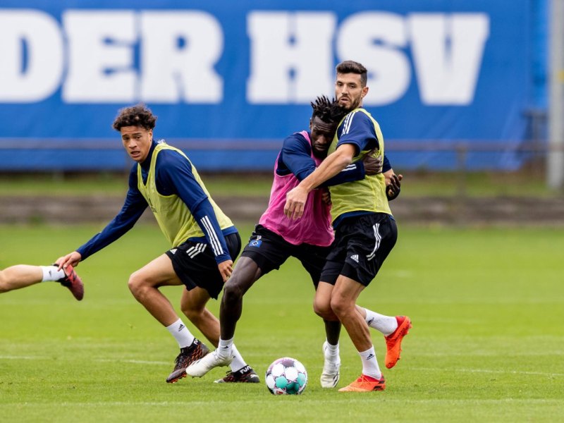 Hamburger-SV-Klaus-Gjasula