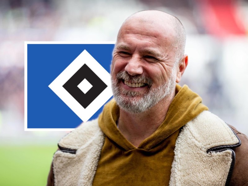 Hamburger-SV-Sergej-Barbarez