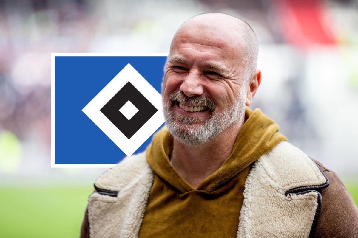 Hamburger-SV-Sergej-Barbarez