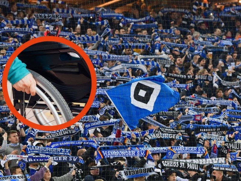 Hamburger SV Todkranker Fan.jpg