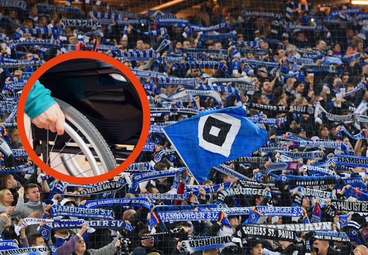 Hamburger SV Todkranker Fan.jpg