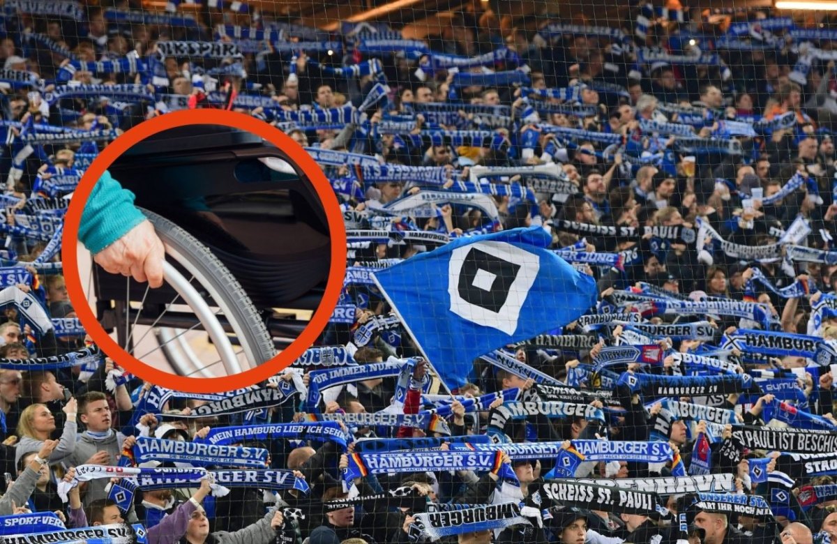 Hamburger SV Todkranker Fan.jpg