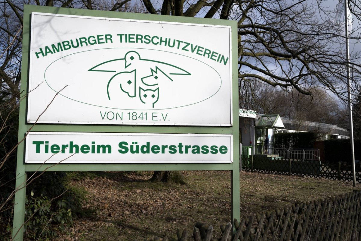 Hamburger Tierschutzverein.jpg