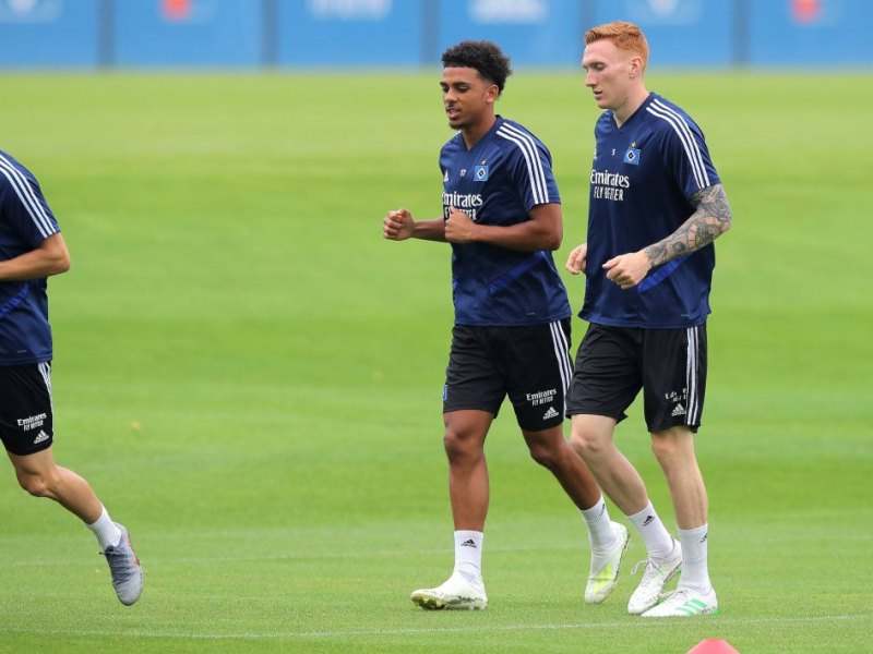 Hamburger-sv-bates