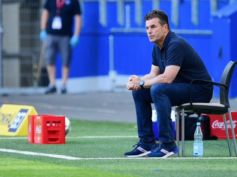 Hamburger-sv-hecking-fans
