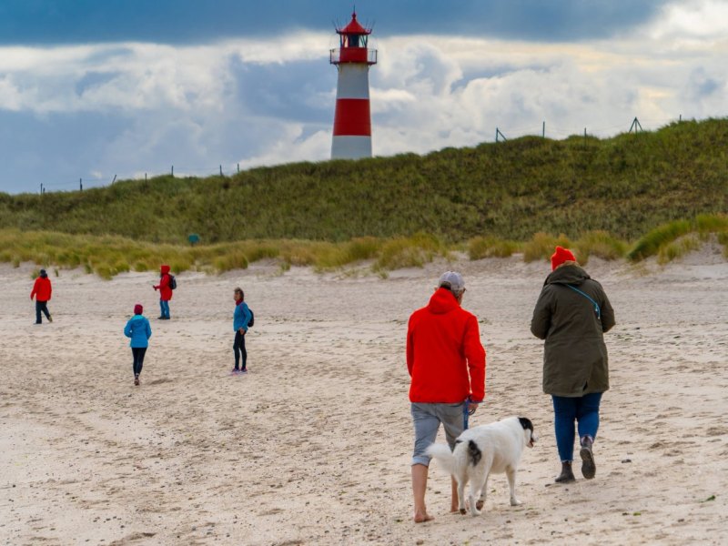 Hund Sylt.jpg