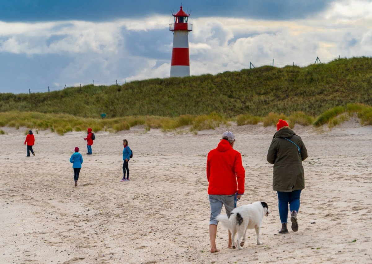 Hund Sylt.jpg