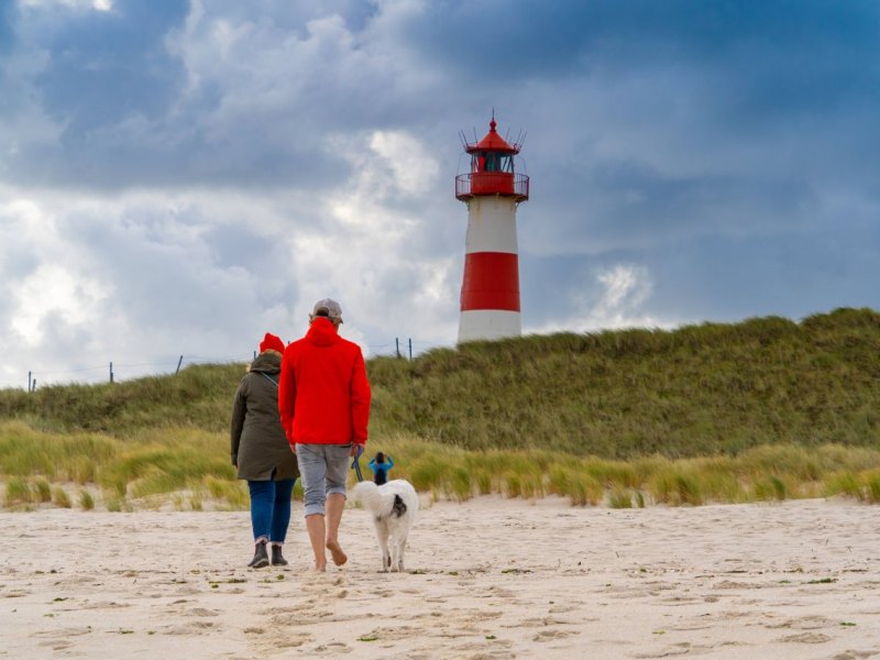 Hund Sylt.jpg