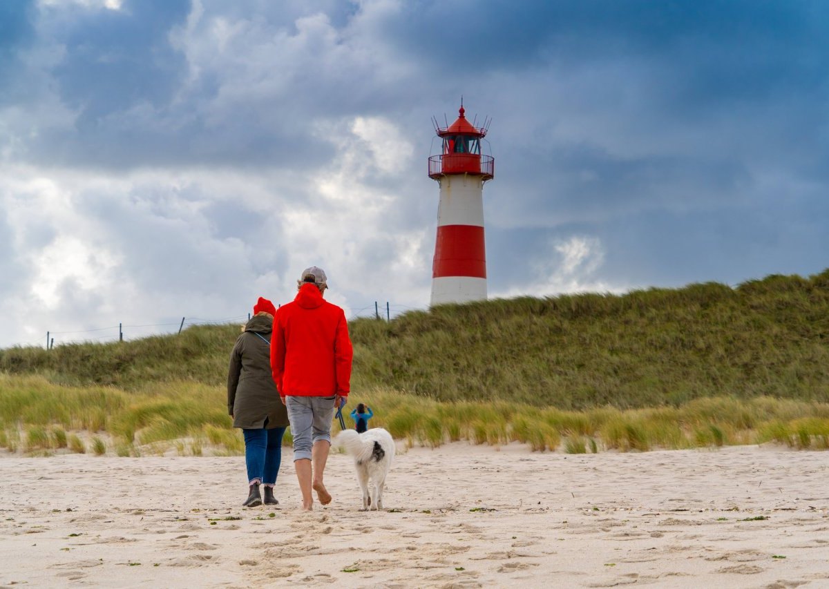 Hund Sylt.jpg