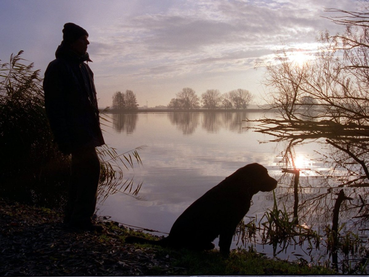 Hund in Hamburg Naturschutzgebiet.jpg