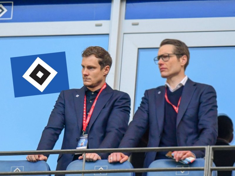 Jansen Hamburger SV.jpg