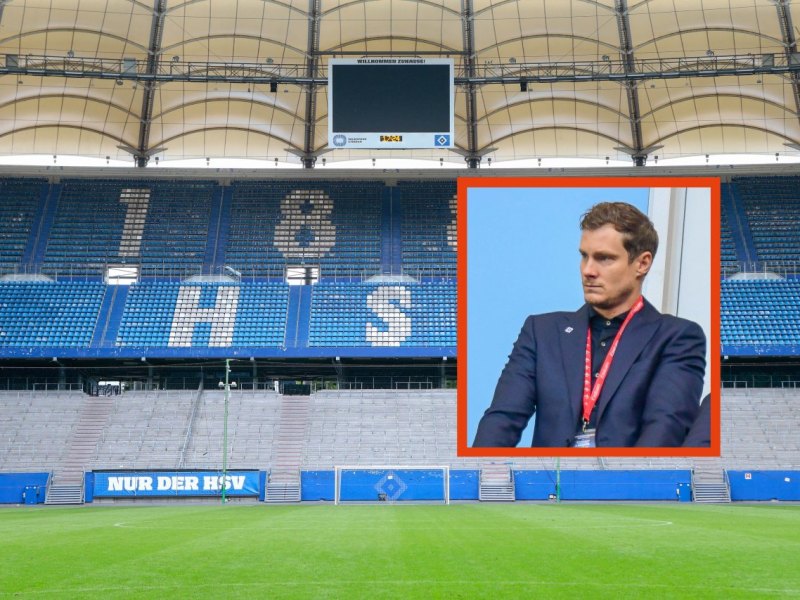 Jansen Hamburger SV.jpg