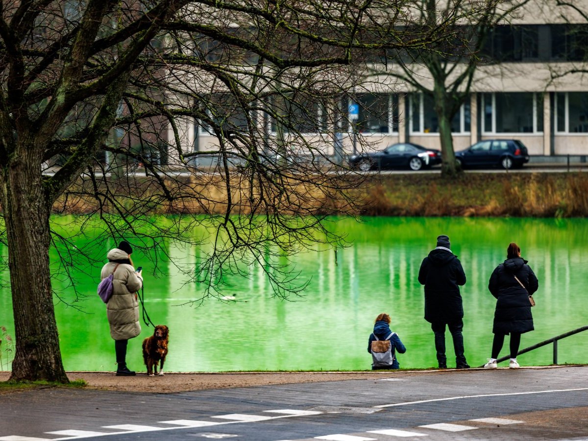 Kiel Förde Hafen Schleswig-Holstein Wasser grün Rohrbruch Stadt