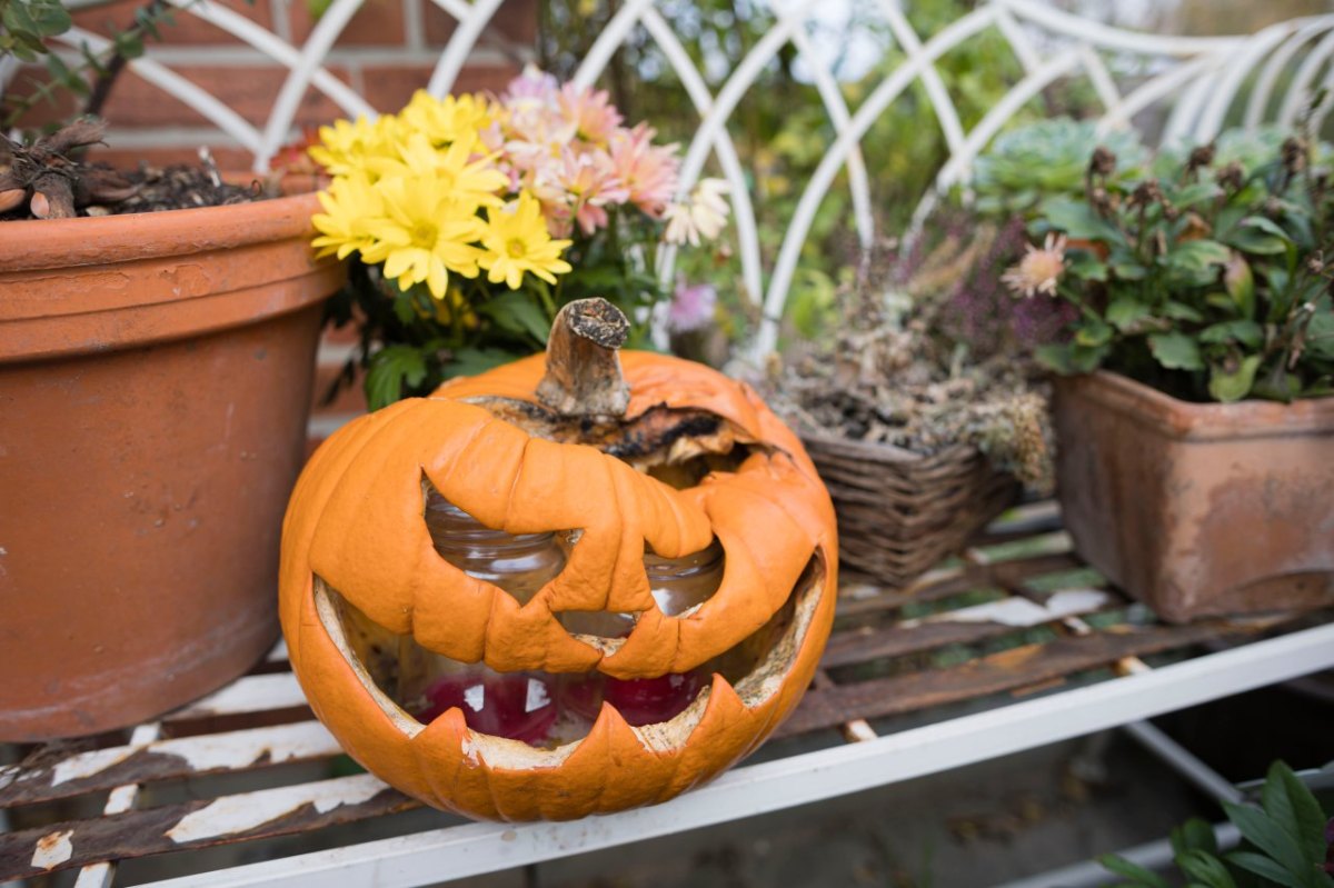 Kürbis Flensburg Halloween