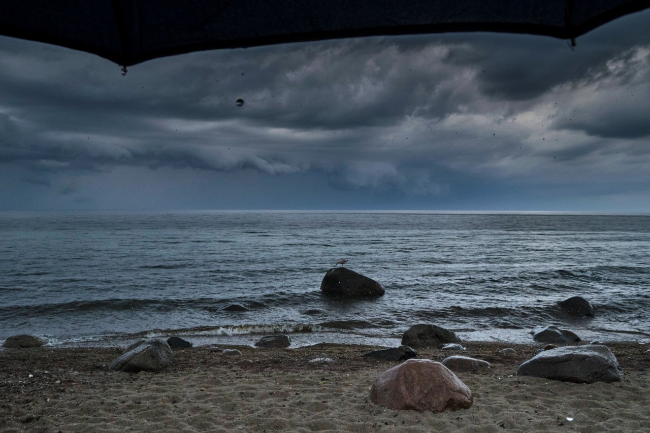 Diese Woche wird das Wetter in Mecklenburg-Vorpommern ungemütlich. 