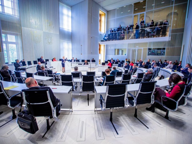 Mecklenburg-Vorpommern AfD Politiker Schwerin Landtag.jpg
