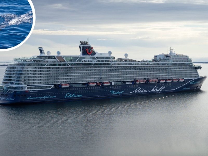Mein Schiff.jpg