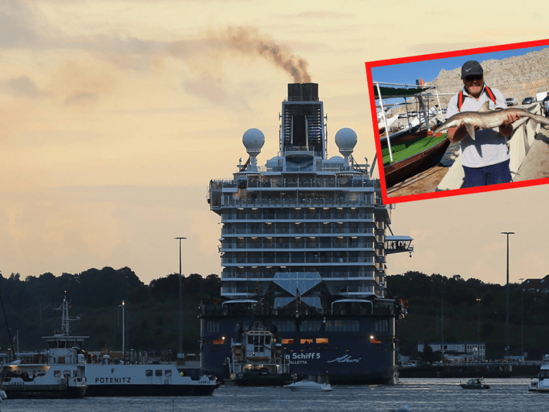Mein Schiff Corona Lockdown Isolation Blaue Reisen Hygienekonzept Dubai Katar