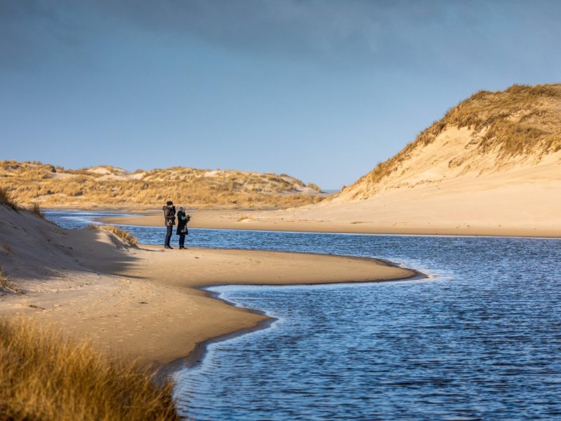 Norderney Nordsee Düne.jpg