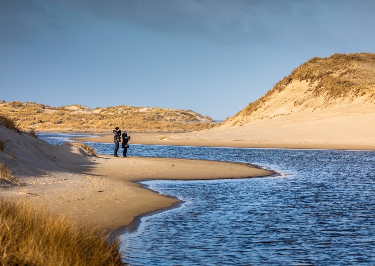 Norderney Nordsee Düne.jpg