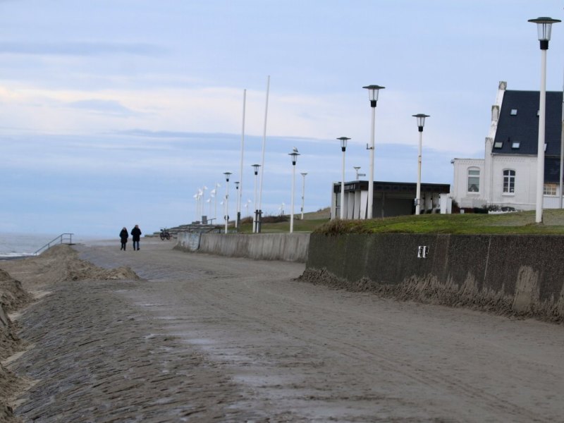 Norderney Nordsee Urlaub Frisa Tagesausflug