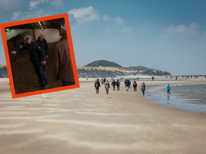 Norderney Tierärzte.png