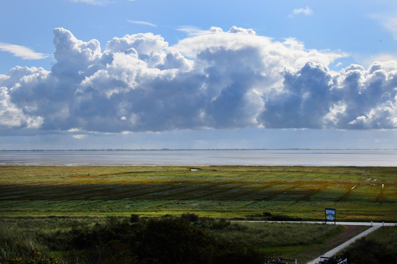 Vermieter von Ferienwohnungen auf der Nordsee-Insel Juist sind sauer. (Symbolbild)