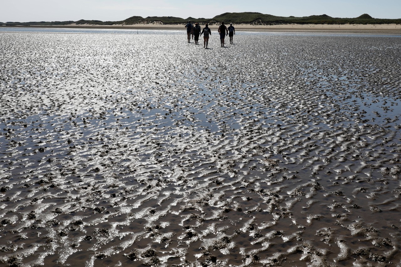 Wattwanderung in der Nordsee