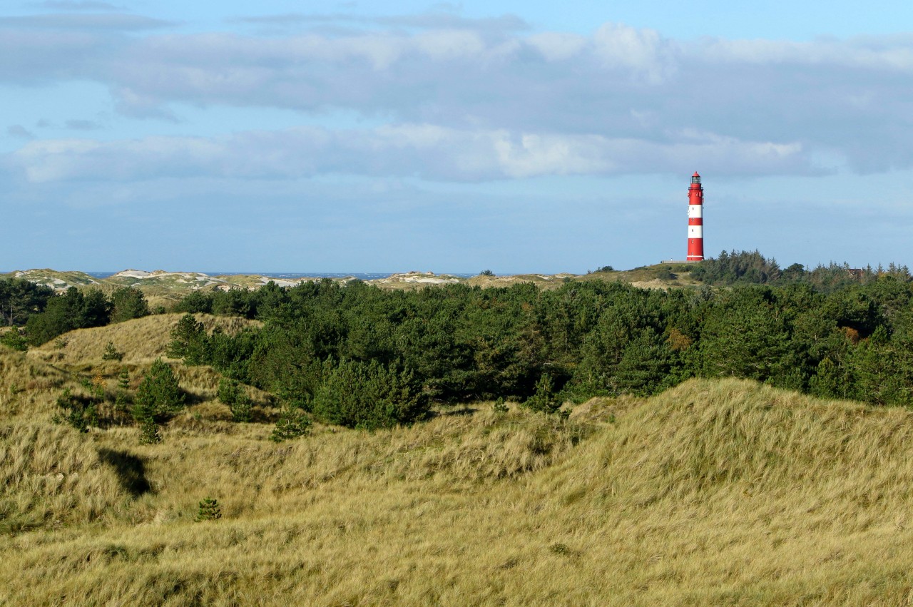 Die Nordsee-Insel Amrum