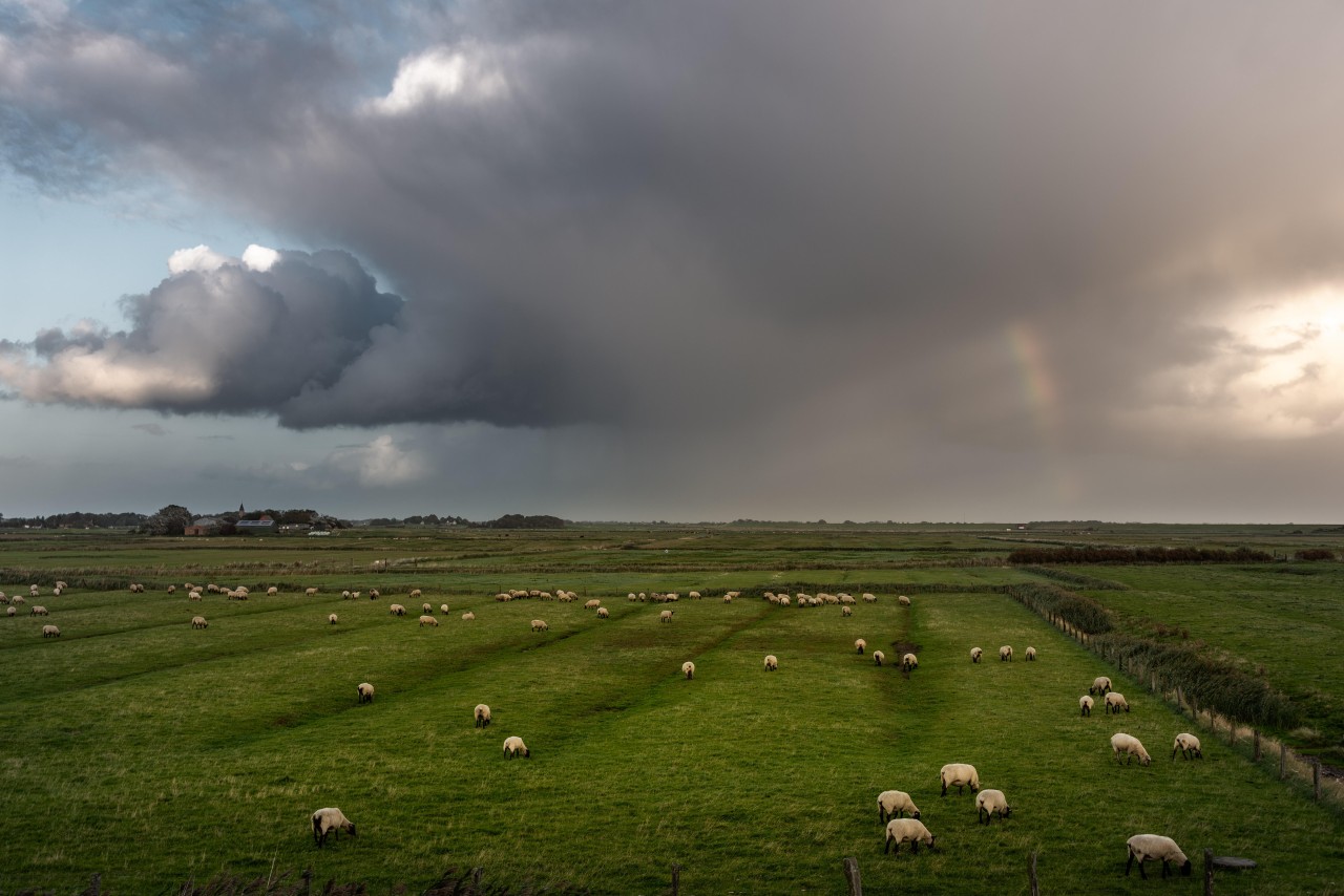 Wer zu Pfingsten an die Nordsee fährt, sollte die Regenjacke nicht vergessen. 