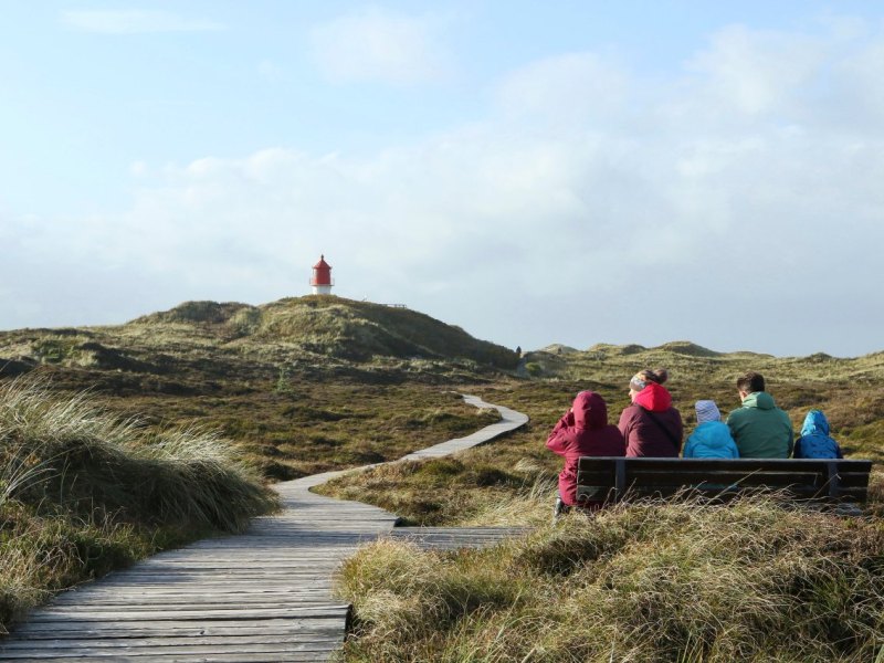 Nordsee Amrum Insel Nebel Baupläne Fans Facebook Bürgermeister Haus