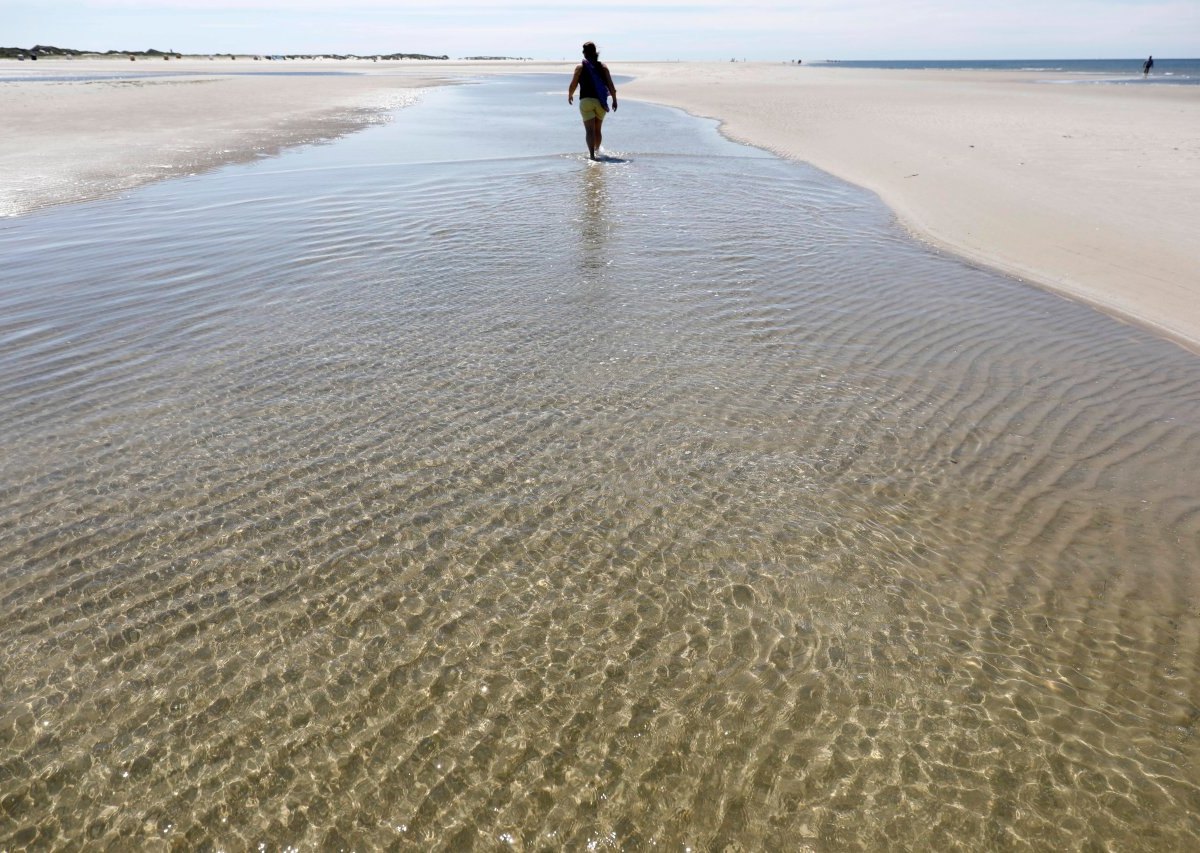 Nordsee Amrum Strand.jpg