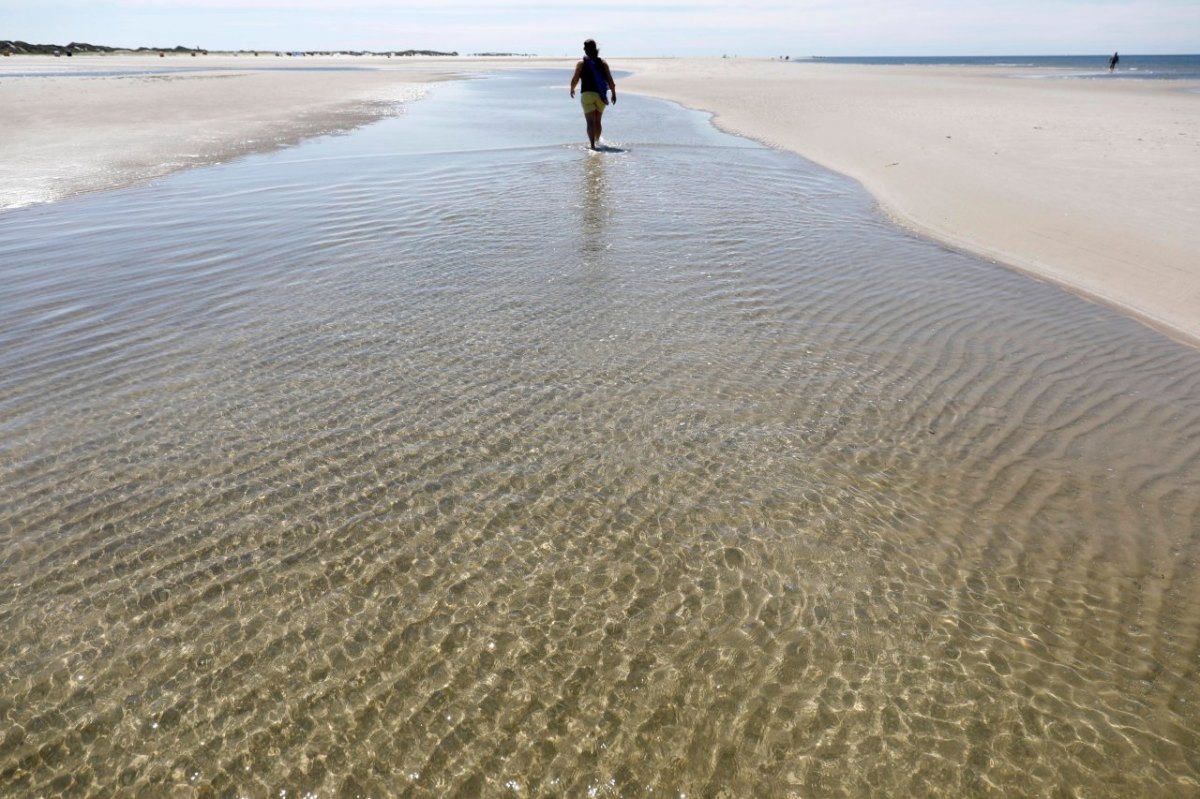 Nordsee Amrum Strand.jpg