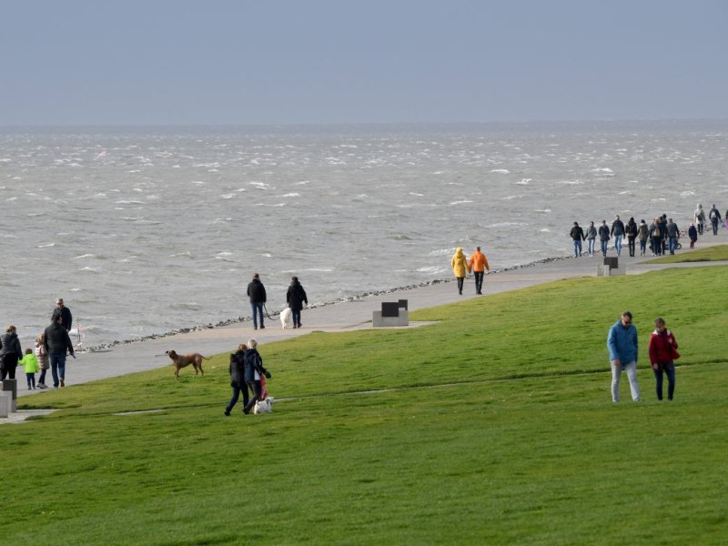 Nordsee Büsum Urlaub Facebook Restaurant Essen Auto Urlaub Reise voll Corona Erfahrung