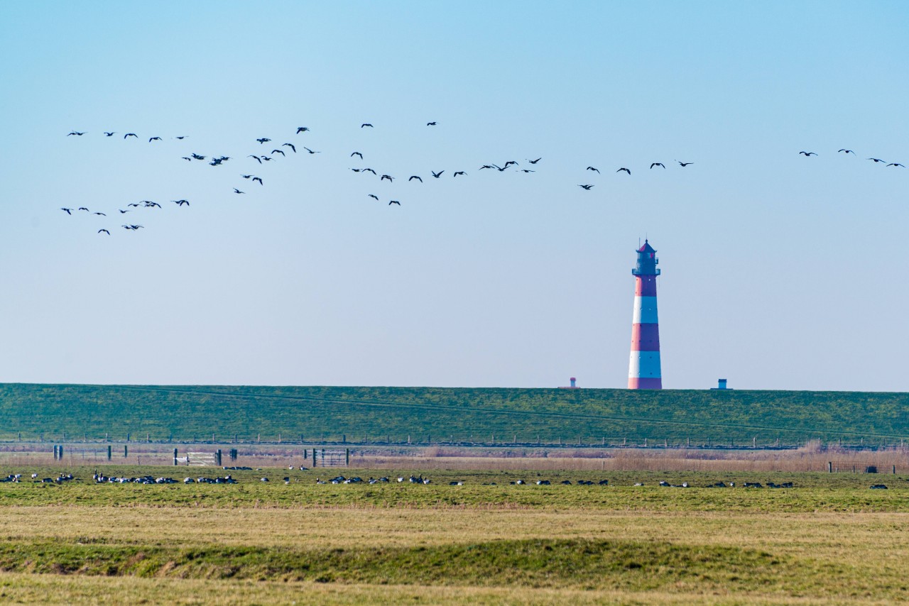 Eine Vermieterin von der Nordsee kann nicht fassen, welch dreiste Anfragen sie von Urlaubern bekommt (Symbolbild). 