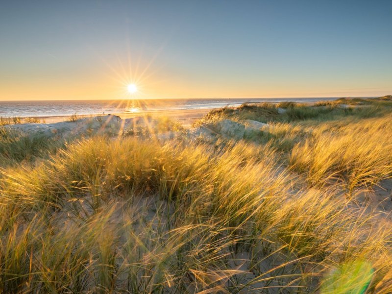 Nordsee Fund.jpg