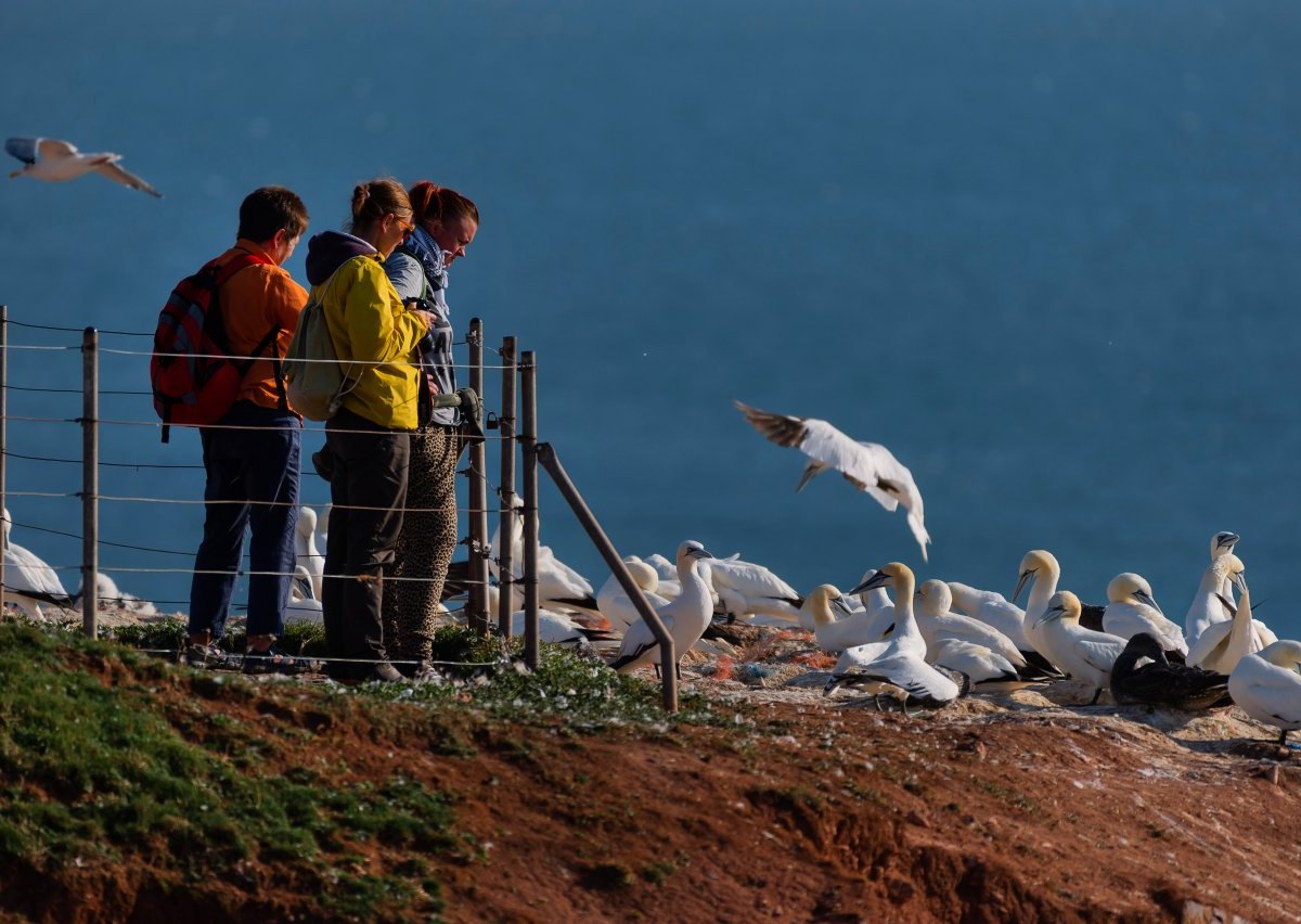 Nordsee Helgoland Schiff Urlaub Ferien Diebstahl Facebook Familie Abreise