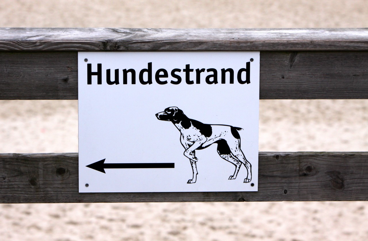 Hinweis auf einen Hundestrand auf Sylt.