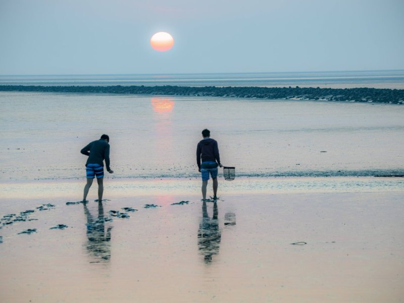 Nordsee Strand.jpg