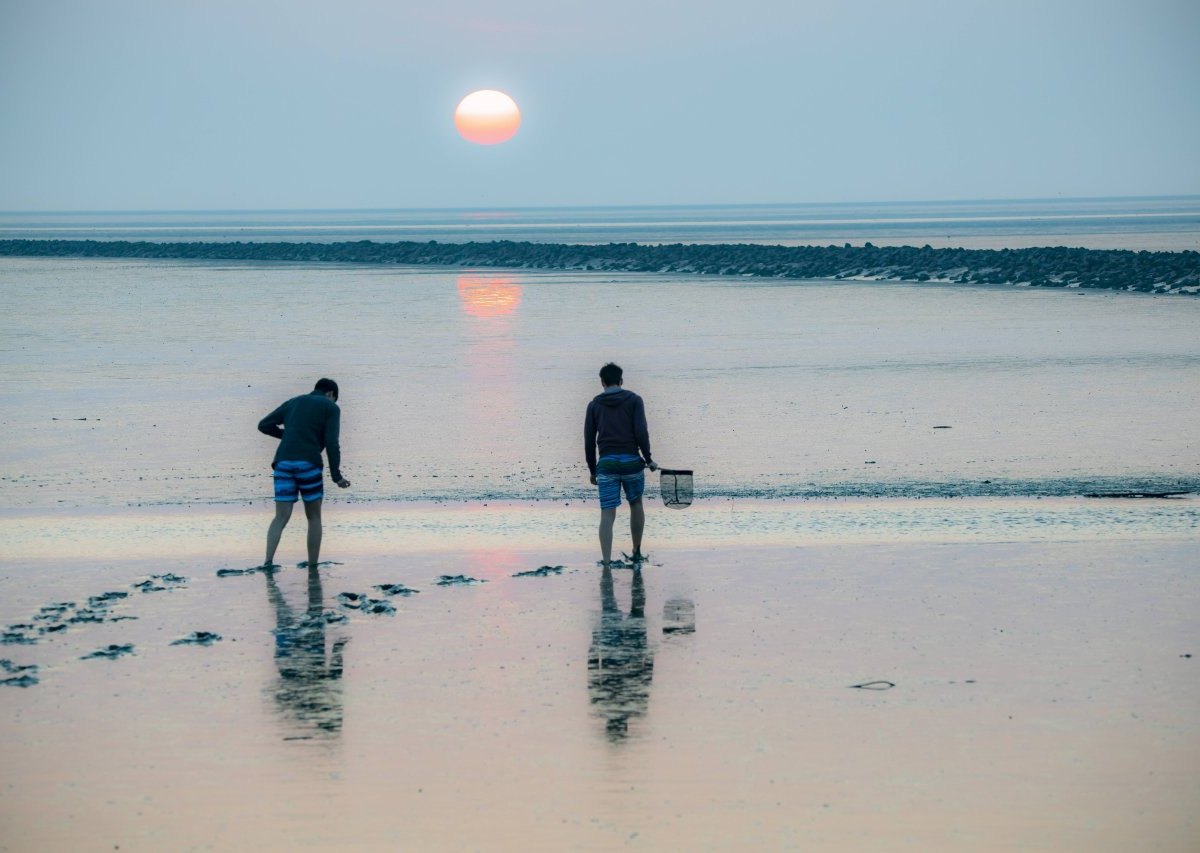 Nordsee Strand.jpg