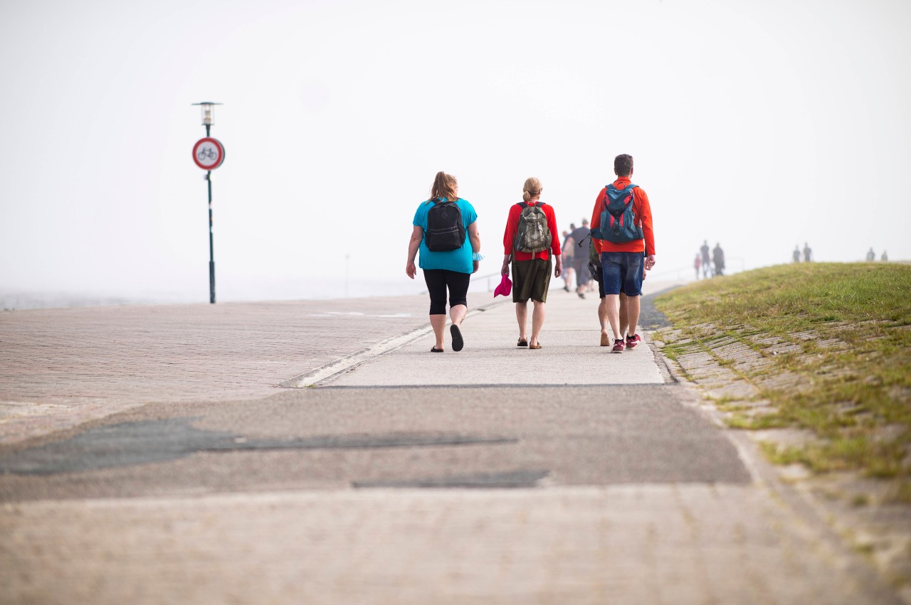 Ist Urlaub an der Nordsee doch nicht so gefragt, wie es scheint?