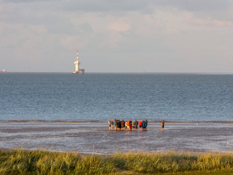 Nordsee Wangerland Einheimische.jpg