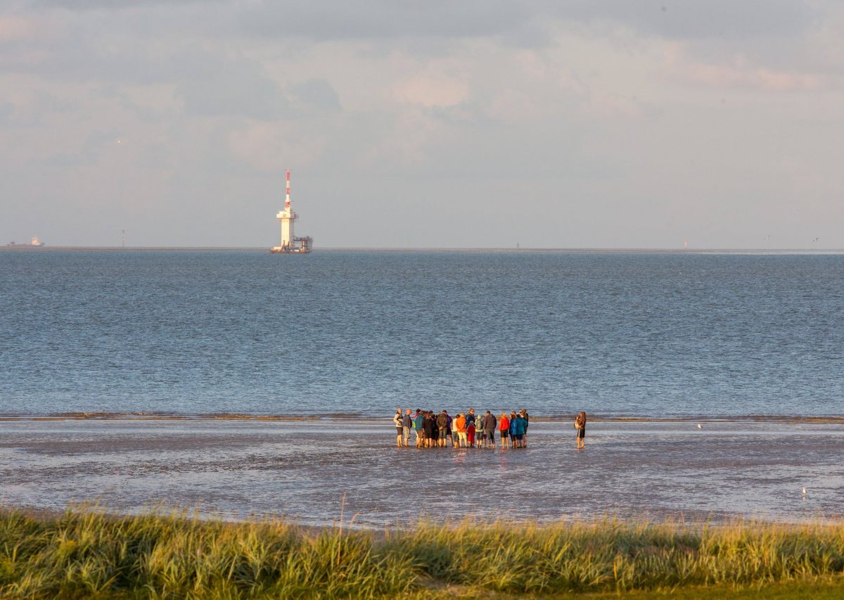 Nordsee Wangerland Einheimische.jpg