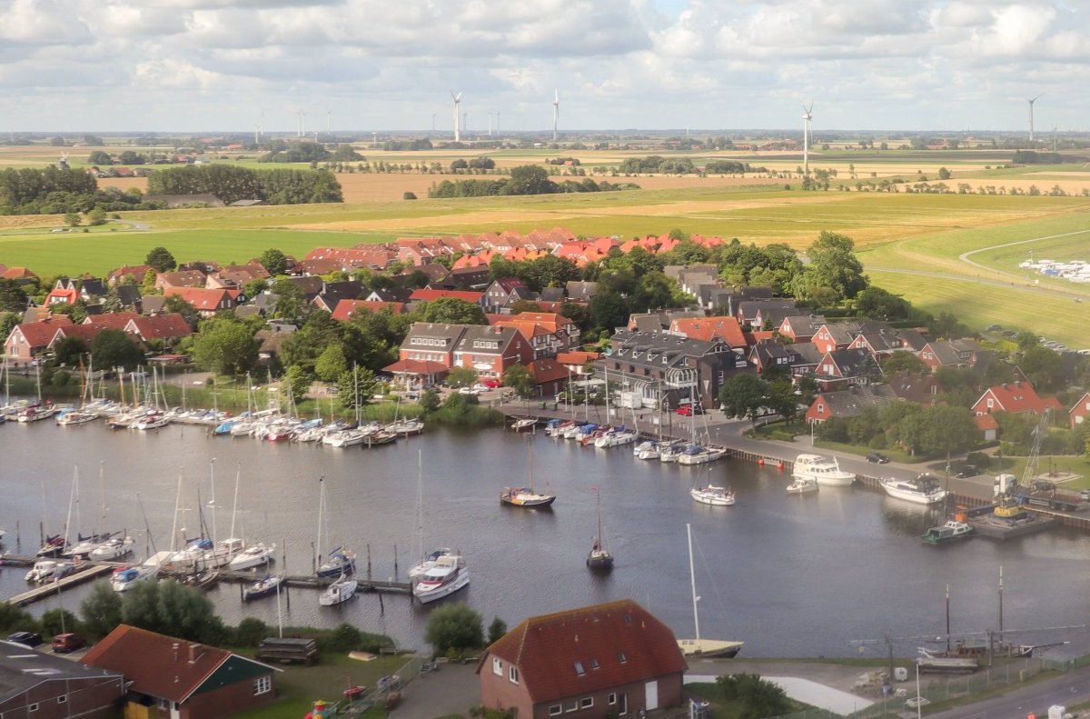 Nordsee Wangerooge Seehund Robbe Heuler