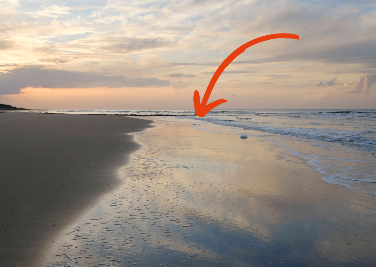 Nordsee Wangerooge Seepferdchen.png