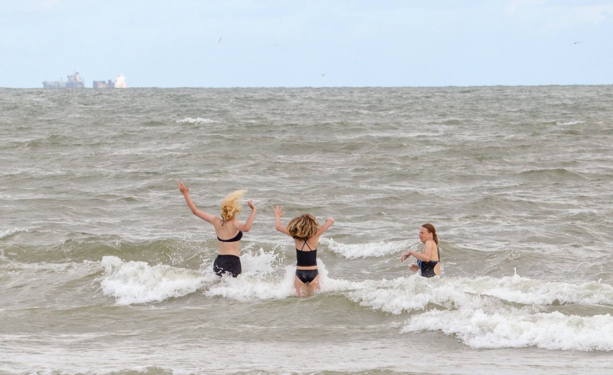 Nordsee Wasser Temperatur Baden Wattenmeer Experten Warnung.jpg