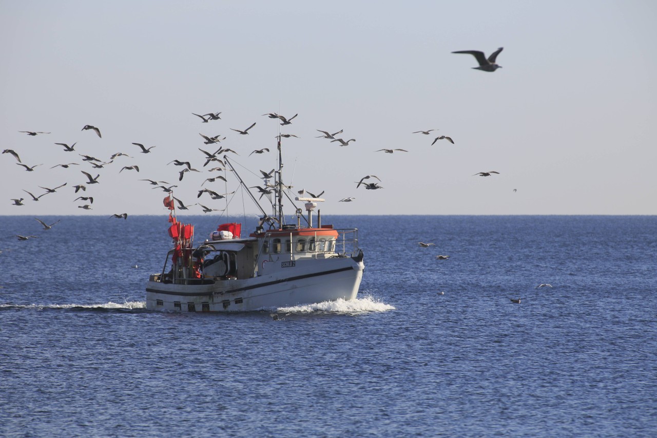 Ein Fischkutter auf seinem Rückweg nach Lübeck-Travemünde (Symbolfoto).