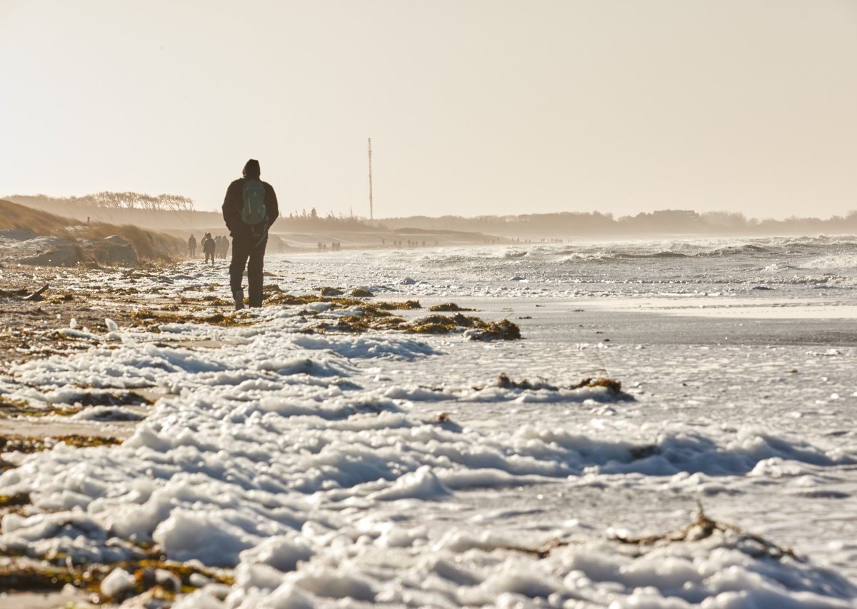 Ostsee Bürgermeister.jpg