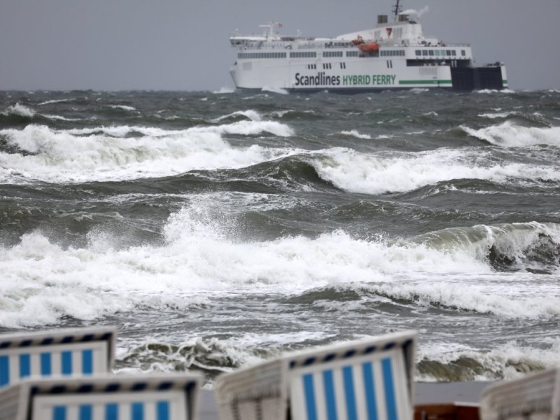 Ostsee Fehmarn Fischerei Fangquoten Überdüngung Fehmarnbaltquerung Klimawandel Klimakrise Urlaub Insel
