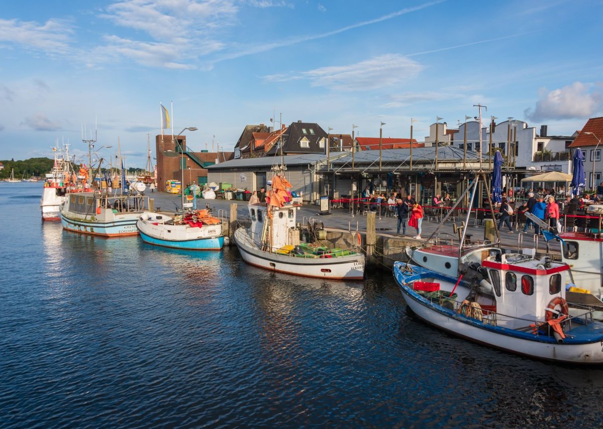 Ostsee Fischerei Hering Dorsch Schleswig-Holstein Klimawandel Grüne FDP